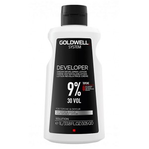 GOLDWELL SYSTEM DEVELOPER...