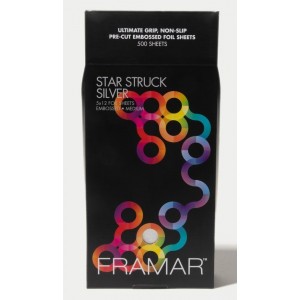 STAR STRUCK SILVER 5 X 12 FOIL SHEETS EMBOSSED MEDIUM FRAMAR