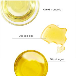 SYSTEM PROFESSIONAL LUXEOIL... 2