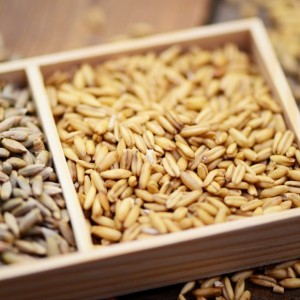 Kyo CleanseSystem maschera 250ml. 2